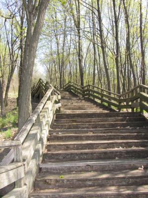 Прикрепленное изображение: IMG_0728.JPG